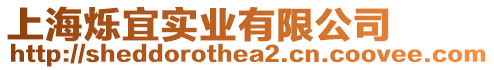 上海爍宜實業有限公司