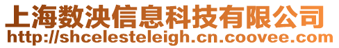 上海數泱信息科技有限公司