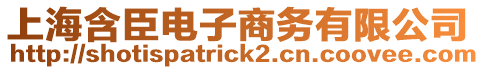 上海含臣電子商務(wù)有限公司