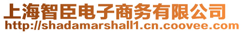 上海智臣電子商務有限公司