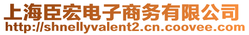 上海臣宏電子商務(wù)有限公司