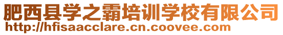 肥西縣學之霸培訓學校有限公司