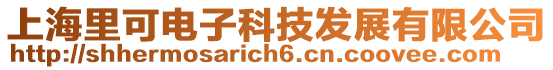 上海里可電子科技發展有限公司