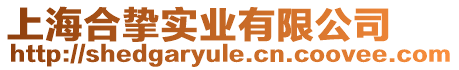 上海合摯實業有限公司