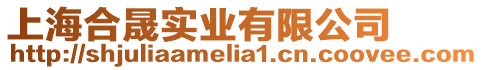 上海合晟實業(yè)有限公司