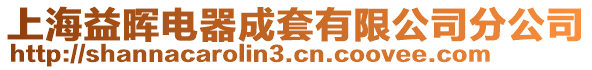 上海益暉電器成套有限公司分公司