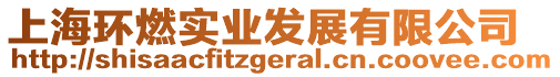 上海環(huán)燃實業(yè)發(fā)展有限公司