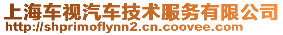 上海車視汽車技術服務有限公司