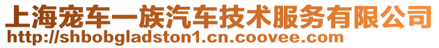 上海寵車一族汽車技術服務有限公司