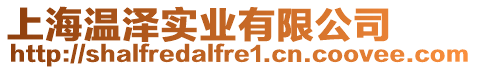上海溫澤實(shí)業(yè)有限公司