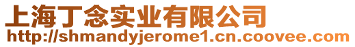 上海丁念實業有限公司