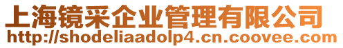 上海鏡采企業管理有限公司