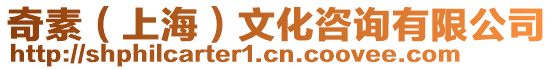 奇素(上海)文化咨詢有限公司
