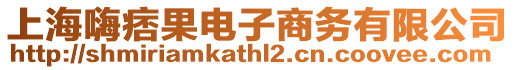 上海嗨痞果電子商務(wù)有限公司