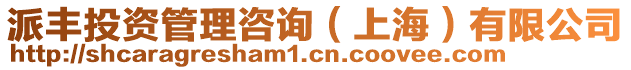 派豐投資管理咨詢（上海）有限公司