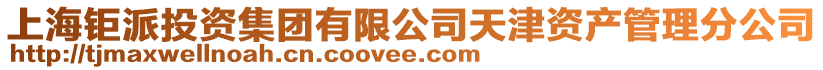 上海鉅派投資集團有限公司天津資產管理分公司
