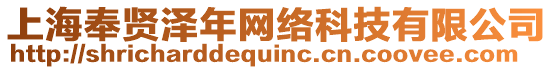 上海奉賢澤年網(wǎng)絡(luò)科技有限公司