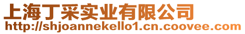 上海丁采實業有限公司