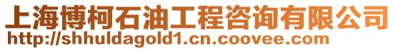 上海博柯石油工程咨詢有限公司