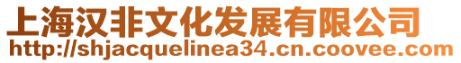 上海漢非文化發展有限公司