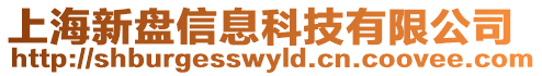 上海新盤信息科技有限公司