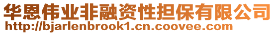 華恩偉業(yè)非融資性擔(dān)保有限公司
