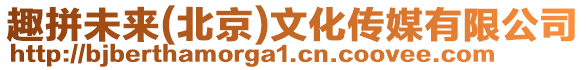 趣拼未來(北京)文化傳媒有限公司