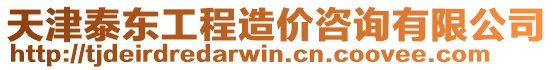 天津泰東工程造價咨詢有限公司