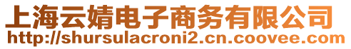 上海云婧電子商務(wù)有限公司
