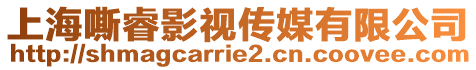 上海嘶睿影視傳媒有限公司