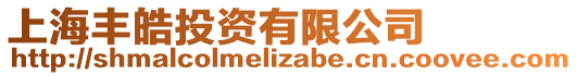 上海豐皓投資有限公司