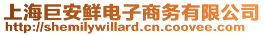 上海巨安鮮電子商務有限公司