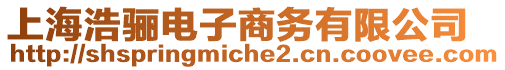 上海浩驪電子商務(wù)有限公司