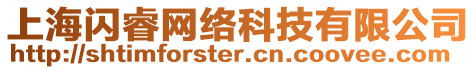 上海閃睿網絡科技有限公司
