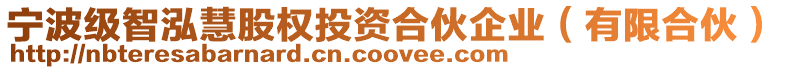 寧波級智泓慧股權投資合伙企業(有限合伙)