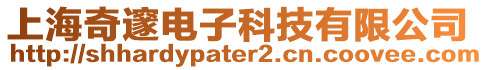 上海奇邃電子科技有限公司