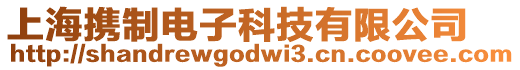 上海攜制電子科技有限公司