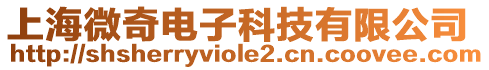 上海微奇電子科技有限公司
