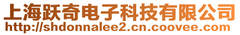 上海躍奇電子科技有限公司