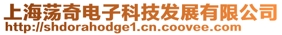 上海蕩奇電子科技發展有限公司