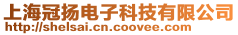 上海冠揚(yáng)電子科技有限公司