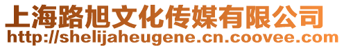 上海路旭文化傳媒有限公司