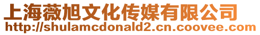 上海薇旭文化傳媒有限公司