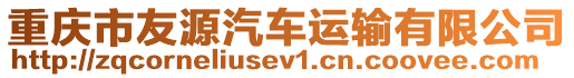 重慶市友源汽車運輸有限公司