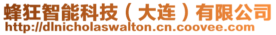蜂狂智能科技（大連）有限公司