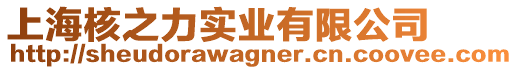 上海核之力實(shí)業(yè)有限公司
