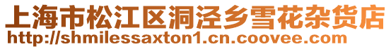 上海市松江區洞涇鄉雪花雜貨店