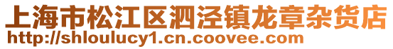 上海市松江區泗涇鎮龍章雜貨店