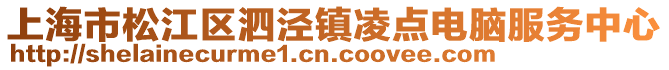上海市松江區泗涇鎮凌點電腦服務中心