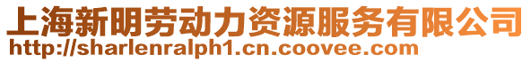 上海新明勞動力資源服務有限公司